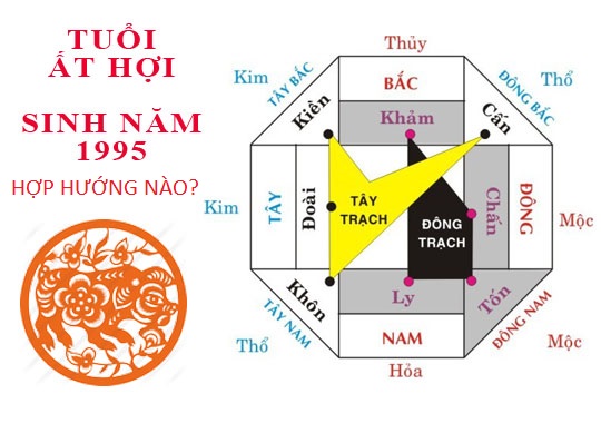sinh-nam-1995-hop-huong-gi