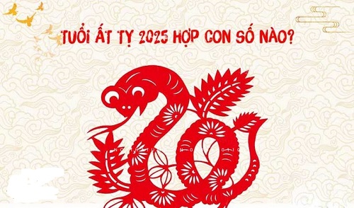 sinh-nam-2025-hop-voi-so-nao
