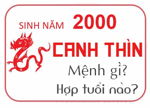 sinh nam 2000 hop tuoi nao