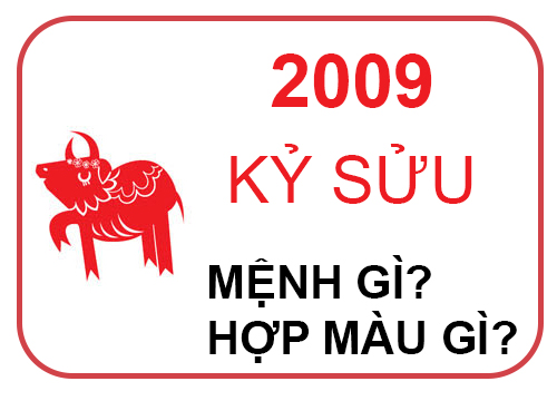 sinh-nam-2009-menh-gi