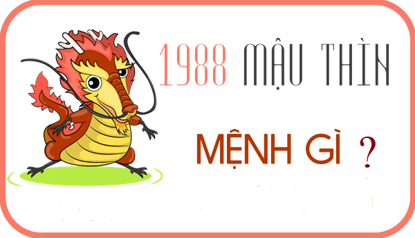 sinh-nam-1988-menh-gi