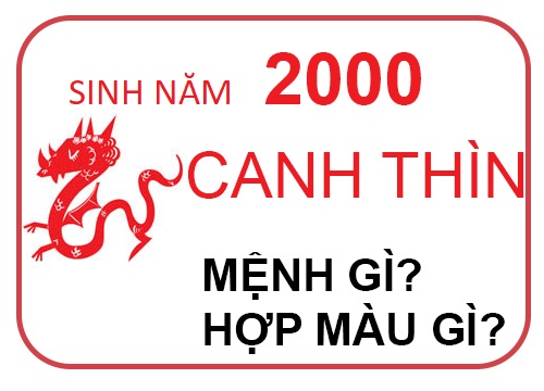sinh-nam-2000-menh-gi