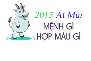 sinh-nam-2015-menh-gi